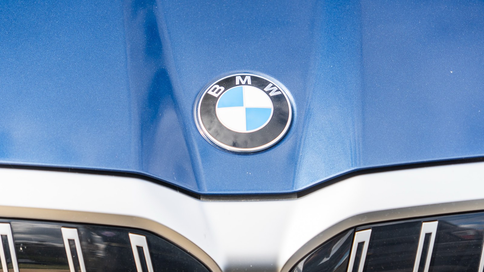 BMW roundel and hood after a Meridian detail